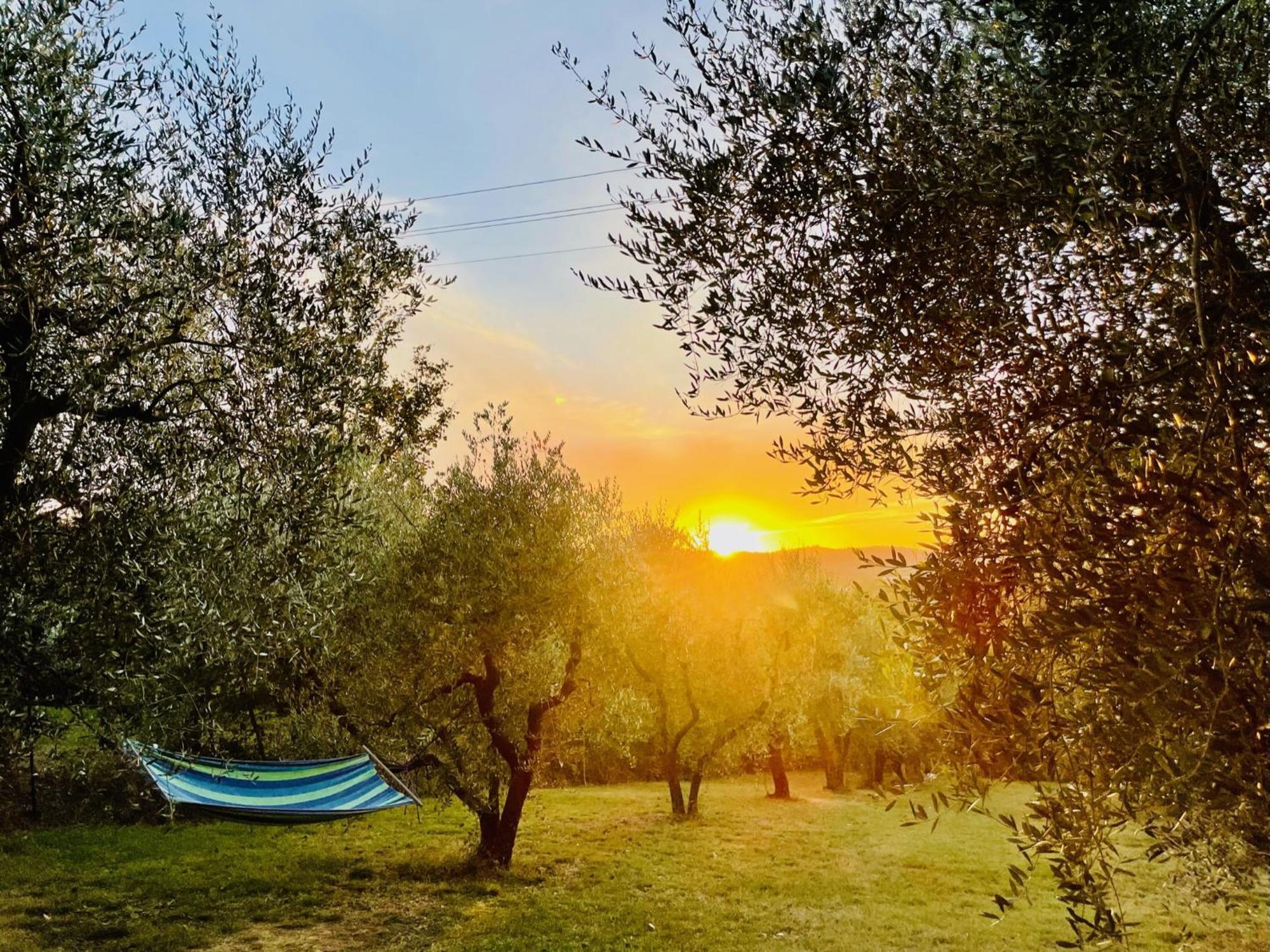 Agriturismo Casaviva Pozzo  Buitenkant foto