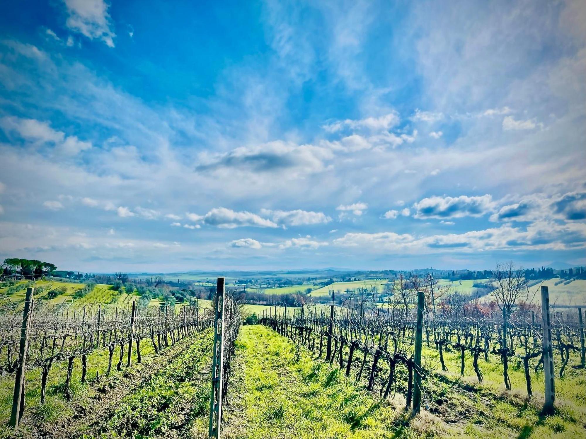 Agriturismo Casaviva Pozzo  Buitenkant foto
